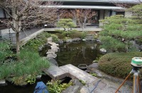 錦鯉 造園,庭池 錦鯉,造園 池,錦鯉池 作り