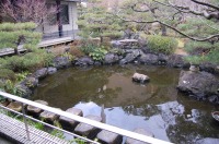 錦鯉 造園,庭池 錦鯉,造園 池,錦鯉池 作り