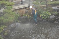 錦鯉 造園,庭池 錦鯉,造園 池,錦鯉池 高圧水洗い