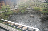 錦鯉 造園,庭池 錦鯉,造園 池,錦鯉池 作り