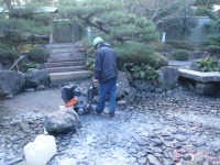 錦鯉 造園,庭池 錦鯉,造園 池,錦鯉池 作り