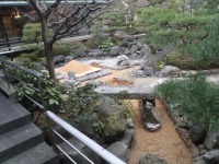 錦鯉 造園,庭池 錦鯉,造園 池,錦鯉池 作り