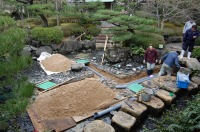 錦鯉 造園,庭池 錦鯉,造園 池,錦鯉池 底水配管