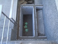 錦鯉 造園,庭池 錦鯉,造園 池,錦鯉池 沈殿槽