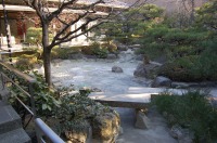 錦鯉 造園,庭池 錦鯉,造園 池,錦鯉池 作り