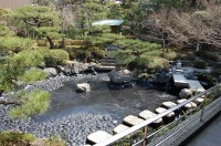錦鯉 造園,庭池 錦鯉,造園 池,錦鯉池 作り