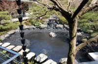 錦鯉 造園,庭池 錦鯉,造園 池,錦鯉池 作り