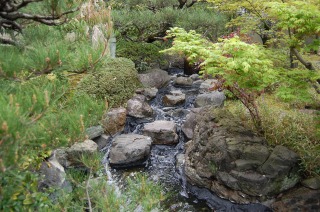 錦鯉 造園,スーパーマリン 濾過,庭池 業者,錦鯉池 施工
