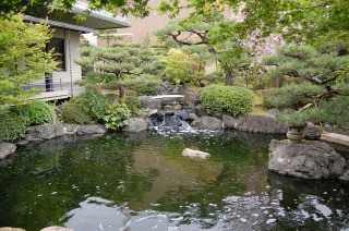 錦鯉 造園,スーパーマリン 濾過,庭池 業者,錦鯉池 施工