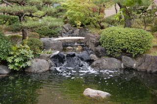 錦鯉 造園,スーパーマリン 濾過,庭池 業者,錦鯉池 施工