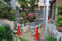 錦鯉 和風池,庭池 石組み