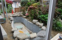 錦鯉 和風池,庭池 石組み