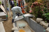 錦鯉 和風池,庭池 石組み