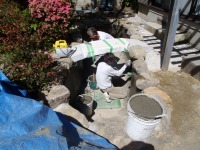 錦鯉 和風池,庭池 左官