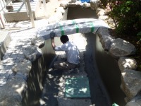 錦鯉 和風池,庭池 左官