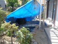 錦鯉 和風池,庭池 左官