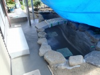 錦鯉 和風池,庭池 左官