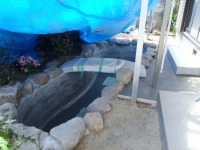 錦鯉 和風池,庭池 左官