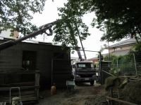 ドッグプール 施工,ドッグプール 工事,ドッグプール 濾過機