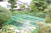 庭池 防水工事,庭池 FRP防水,池 水漏れ修理