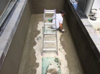 錦鯉 洋風池,錦鯉 和風池,錦鯉 左官