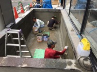 錦鯉 洋風池,錦鯉 和風池,錦鯉 左官