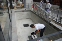 錦鯉 洋風池,錦鯉 和風池,錦鯉 左官