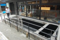 錦鯉 洋風池,錦鯉 和風池,錦鯉 コンクリート池