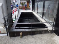 錦鯉 洋風池,錦鯉 和風池,錦鯉 沈殿槽