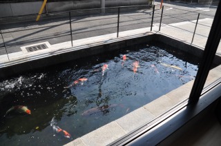 錦鯉 洋風池,錦鯉 和風池,錦鯉 コンクリート池