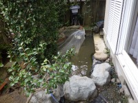 錦鯉 洋風池,錦鯉 和風池,錦鯉 コンクリート池