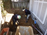 錦鯉 洋風池,錦鯉 和風池,錦鯉 コンクリート池