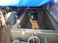 錦鯉 洋風池,錦鯉 和風池,錦鯉 コンクリート池