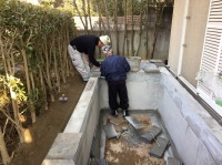 錦鯉 洋風池,錦鯉 和風池,錦鯉 コンクリート池