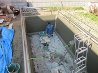 錦鯉 洋風池,錦鯉 和風池,錦鯉 コンクリート池