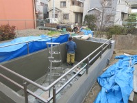 錦鯉 洋風池,錦鯉 和風池,錦鯉 コンクリート池