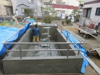 錦鯉 洋風池,錦鯉 和風池,錦鯉 コンクリート池