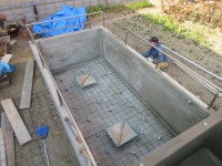 錦鯉 洋風池,錦鯉 和風池,錦鯉 コンクリート池