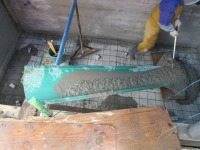 錦鯉 洋風池,錦鯉 和風池,錦鯉 コンクリート池