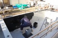 錦鯉 洋風池,錦鯉 和風池,錦鯉 池用塗料