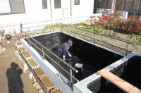 錦鯉 洋風池,錦鯉 和風池,錦鯉 池用塗料