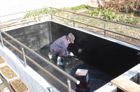 錦鯉 洋風池,錦鯉 和風池,錦鯉 池用塗料