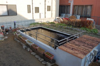 錦鯉 洋風池,錦鯉 和風池,錦鯉 コンクリート池