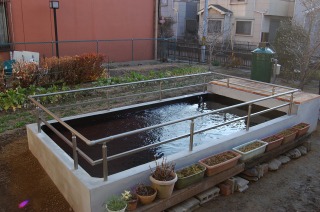 錦鯉 洋風池,錦鯉 和風池,錦鯉 コンクリート池