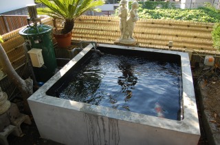 コンクリート池 錦鯉,池作り 業者,錦鯉池 作り