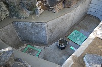 錦鯉 造園,庭池 錦鯉,造園 池,錦鯉池 作り