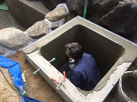 錦鯉 造園,庭池 錦鯉,造園 池,錦鯉池 作り