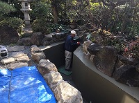 錦鯉 造園,庭池 錦鯉,造園 池,錦鯉池 作り