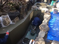 錦鯉 造園,庭池 錦鯉,造園 池,錦鯉池 作り