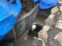 錦鯉 造園,庭池 錦鯉,造園 池,錦鯉池 作り